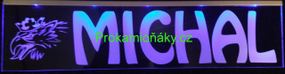Cedulka LED 50x7 cm